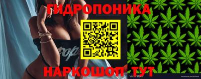 спайс Коммунар
