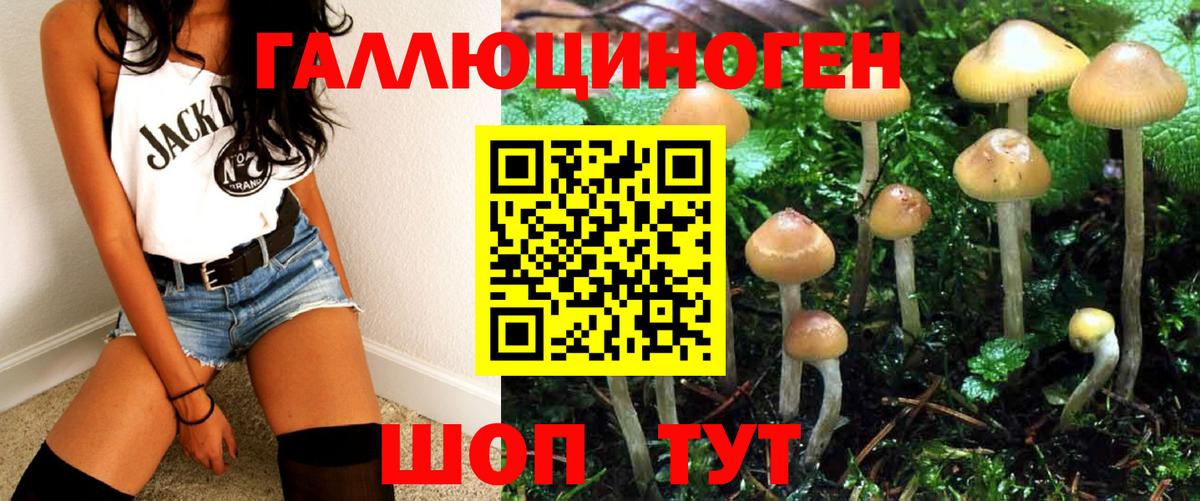 Псилоцибиновые грибы ЛСД Калач-на-Дону