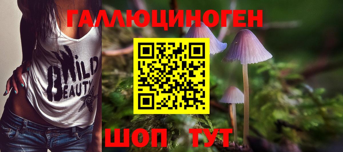 Калач-на-Дону  Галлюциногенные грибы Psilocybe  Вход с VPN 